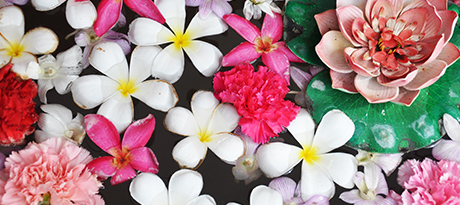 Flower Pool